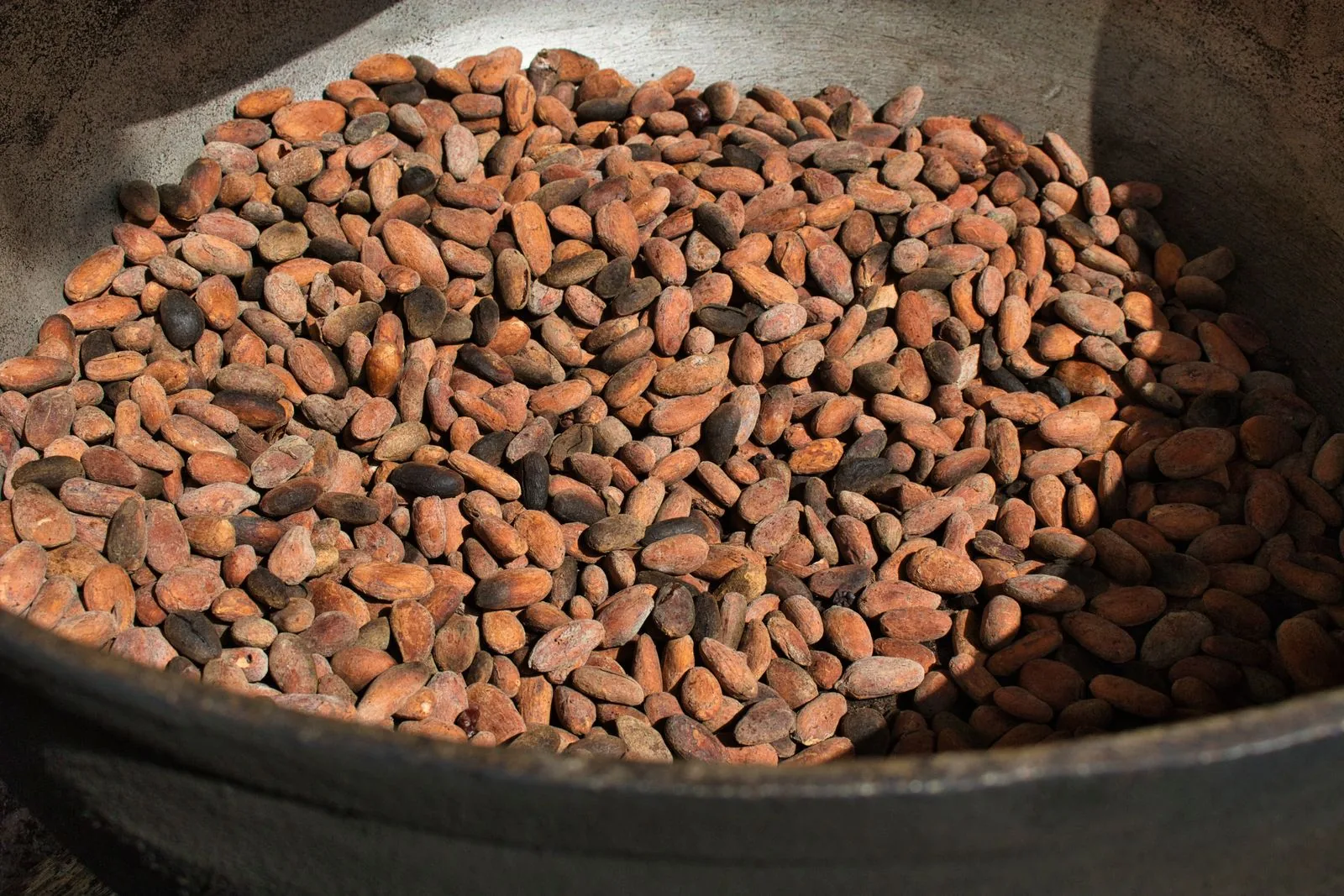 Granos de cacao que evocan el origen del chocolate artesanal