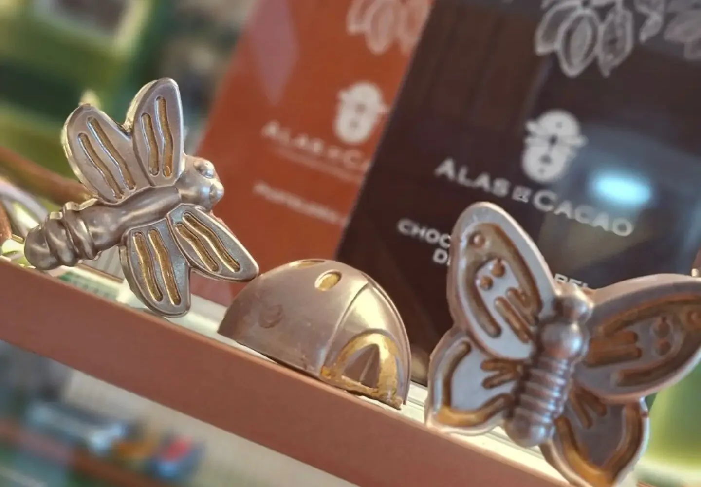 Libélula, chinita y mariposa de chocolate